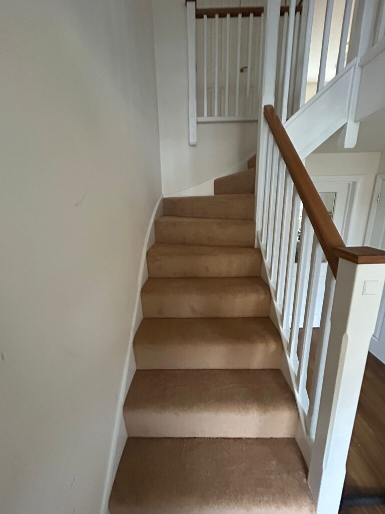 carpet 1