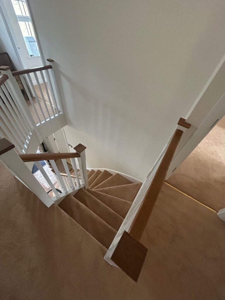 carpet 2