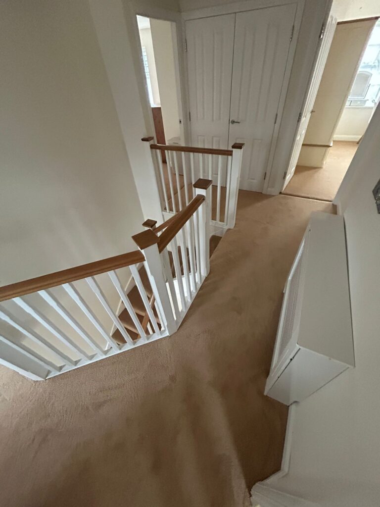 carpet 3