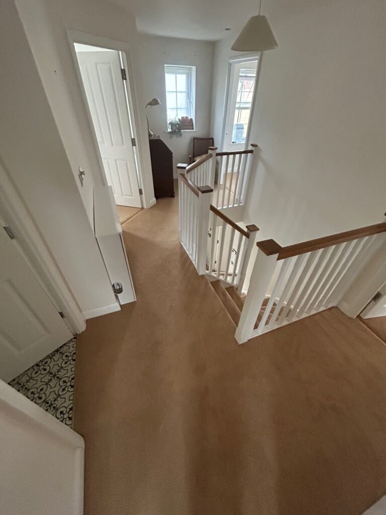carpet 4