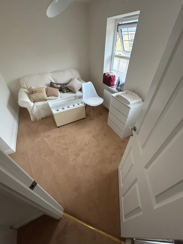 carpet 5