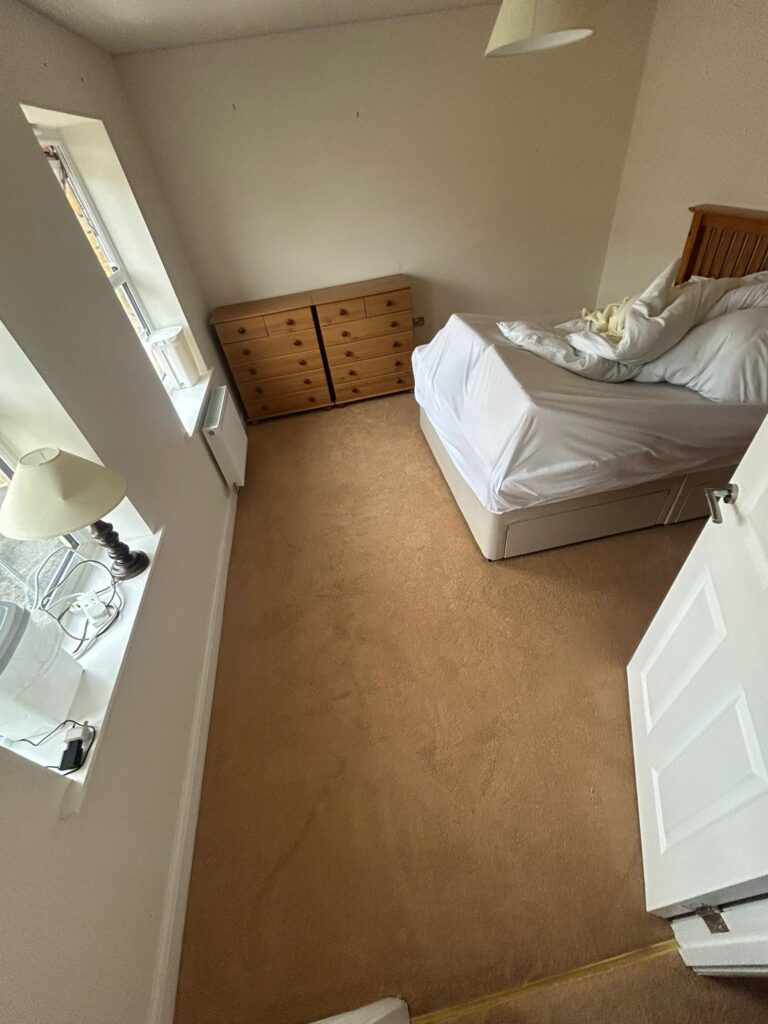 carpet 6