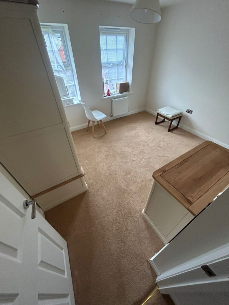 carpet 8