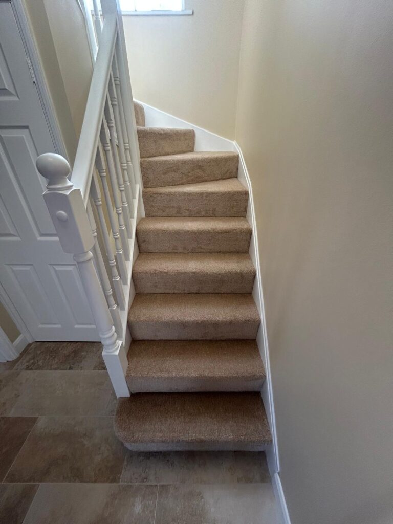 carpets (1)