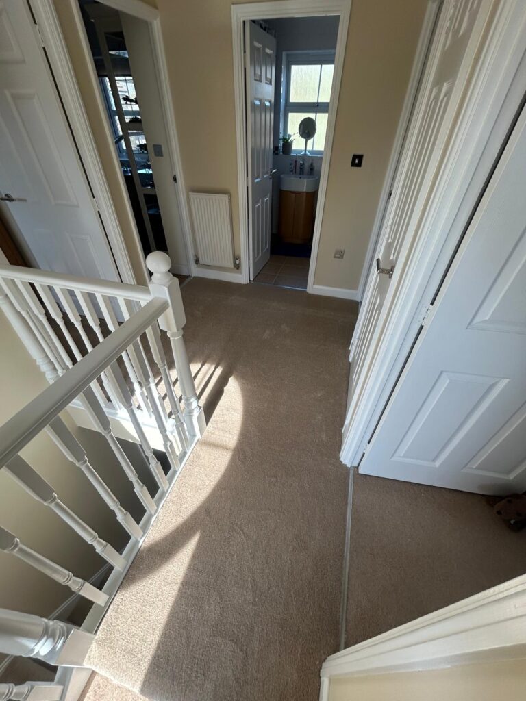 carpets (10)