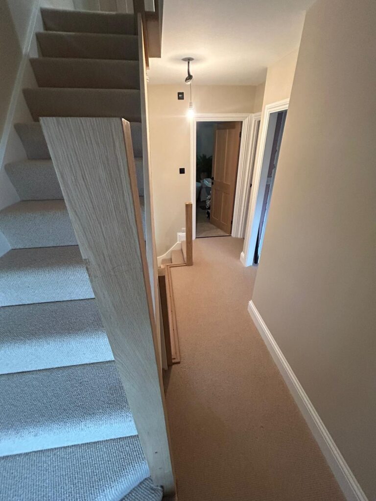 carpets (4)